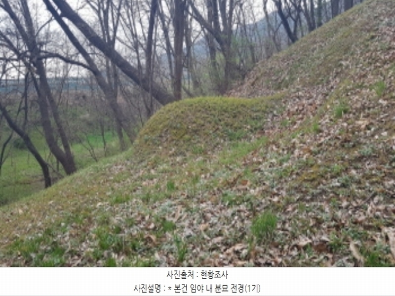 2024타경43912 경기도 안성시 서운면 북산리 194-1 임야 경매 이미지