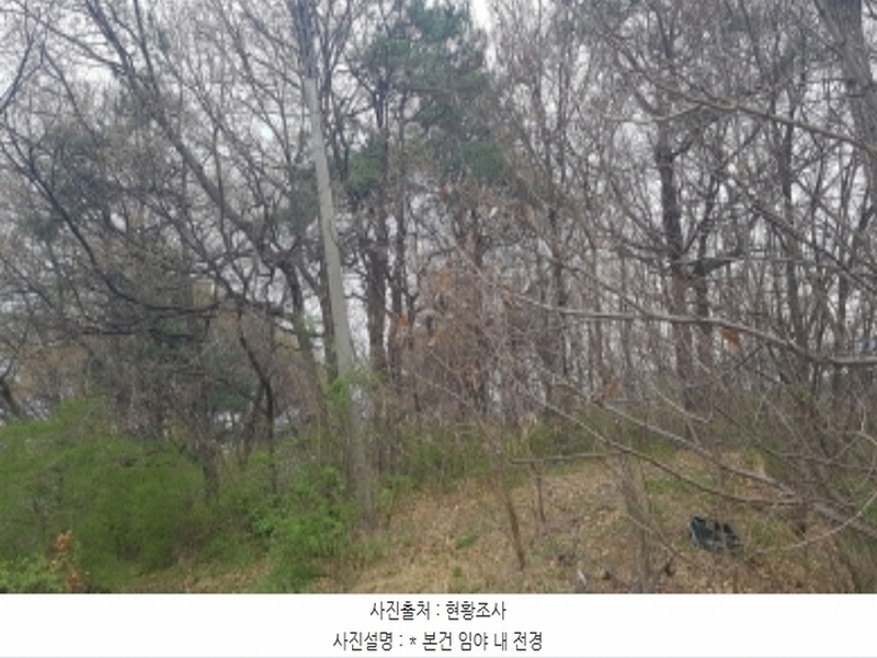 2024타경43912 경기도 안성시 서운면 북산리 194-1 임야 경매 이미지