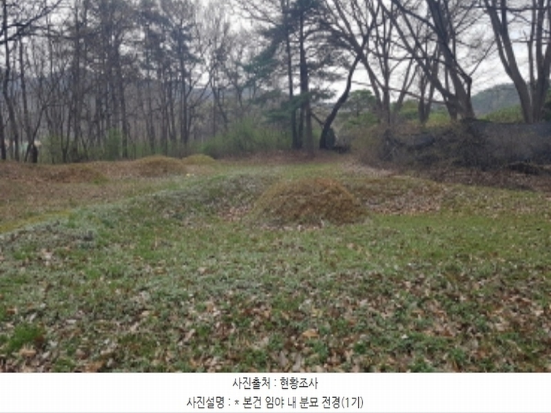 2024타경43912 경기도 안성시 서운면 북산리 194-1 임야 경매 이미지