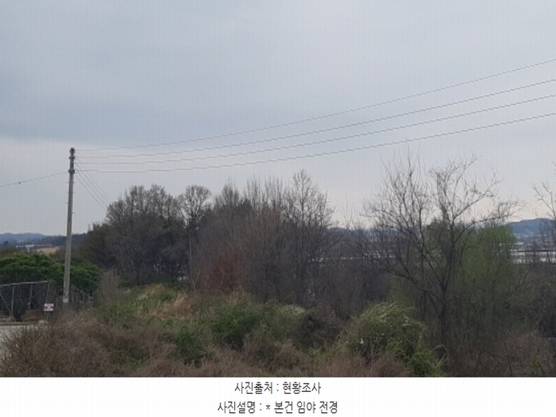 2024타경43912 경기도 안성시 서운면 북산리 194-1 임야 경매 이미지