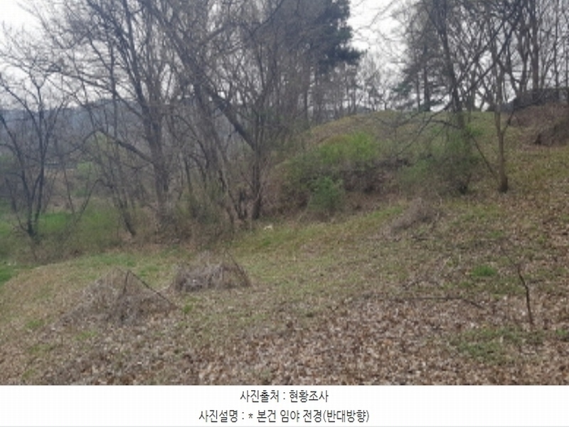 2024타경43912 경기도 안성시 서운면 북산리 194-1 임야 경매 이미지