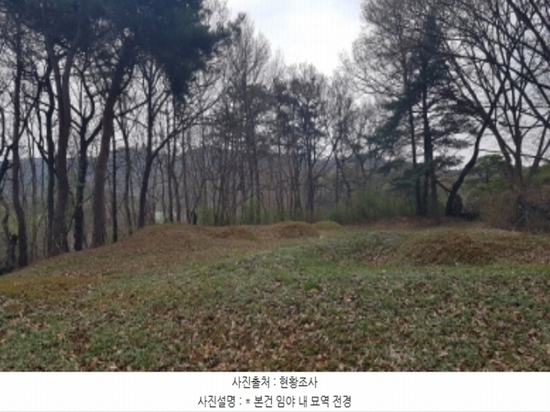 2024타경43912 경기도 안성시 서운면 북산리 194-1 임야 경매 이미지