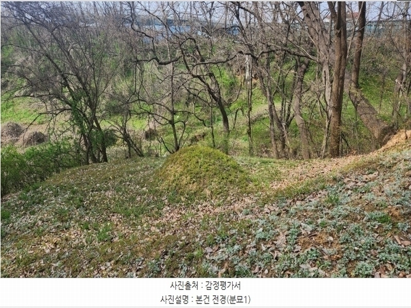 2024타경43912 경기도 안성시 서운면 북산리 194-1 임야 경매 이미지