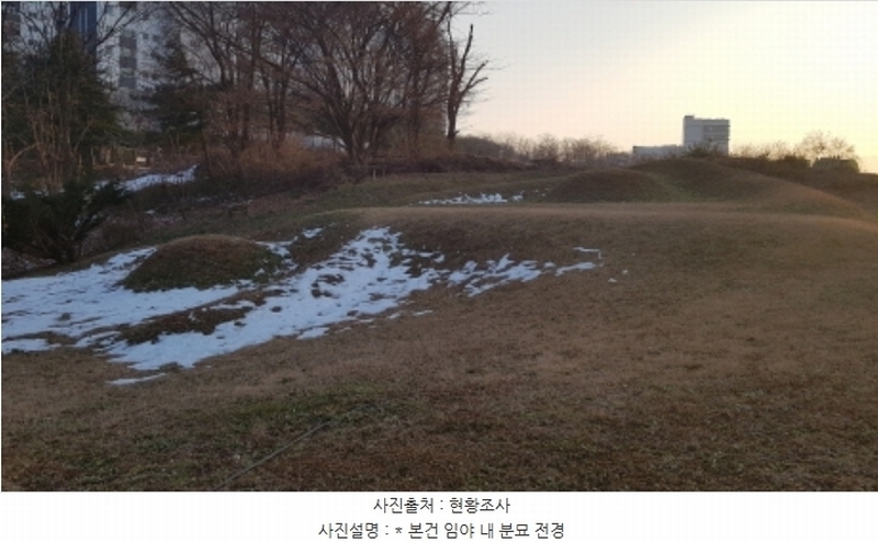 2024타경55755 경기도 안성시 미양면 보체리 산50 임야 경매 이미지