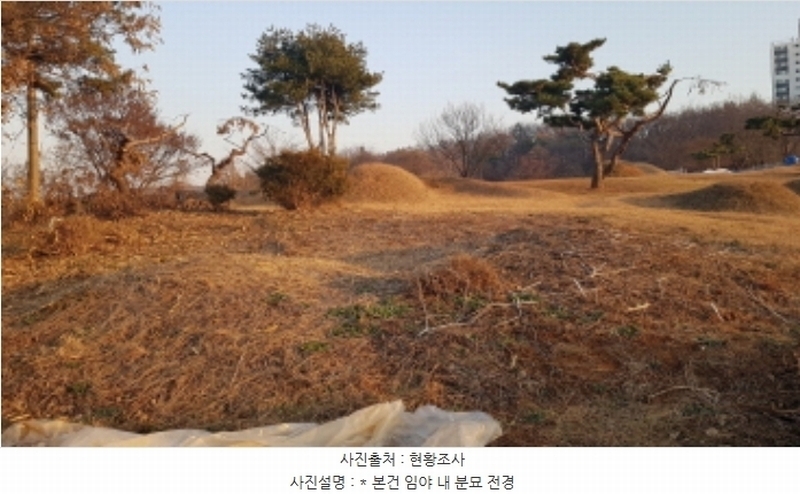 2024타경55755 경기도 안성시 미양면 보체리 산50 임야 경매 이미지