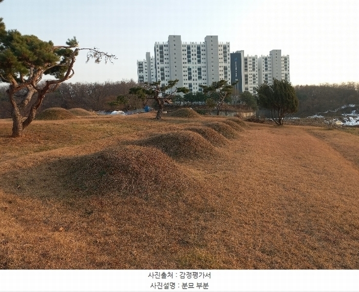 2024타경55755 경기도 안성시 미양면 보체리 산50 임야 경매 이미지