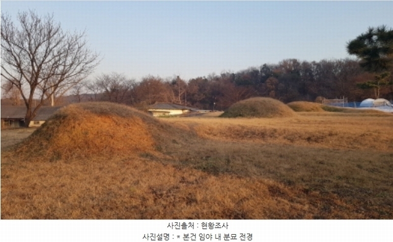 2024타경55755 경기도 안성시 미양면 보체리 산50 임야 경매 이미지