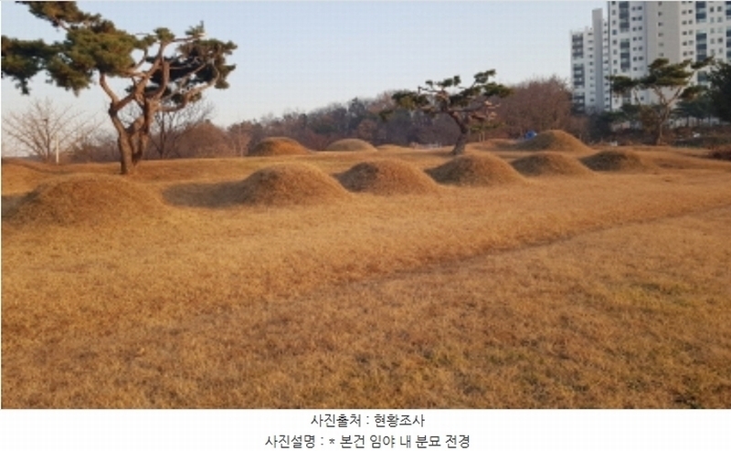 2024타경55755 경기도 안성시 미양면 보체리 산50 임야 경매 이미지