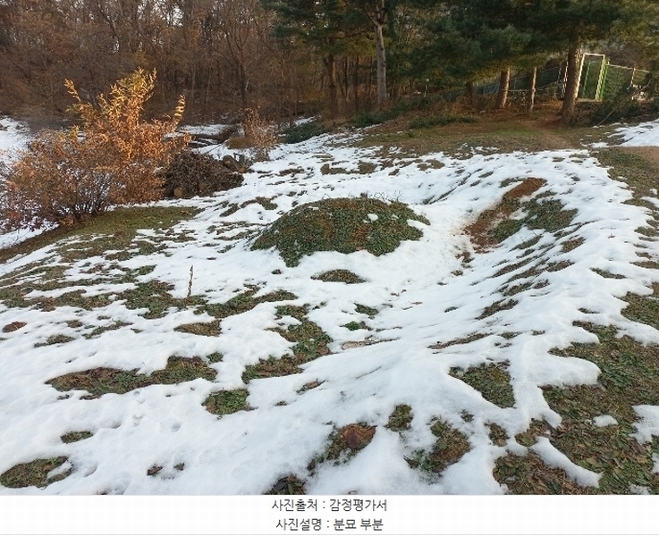2024타경55755 경기도 안성시 미양면 보체리 산50 임야 경매 이미지