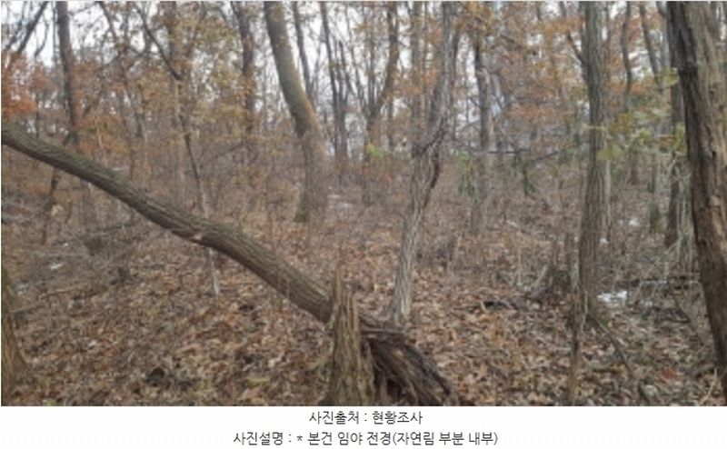 2024타경55755 경기도 안성시 미양면 보체리 산50 임야 경매 이미지