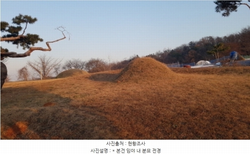 2024타경55755 경기도 안성시 미양면 보체리 산50 임야 경매 이미지