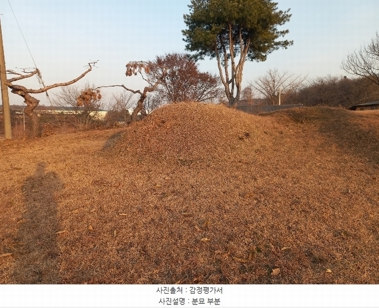 2024타경55755 경기도 안성시 미양면 보체리 산50 임야 경매 이미지