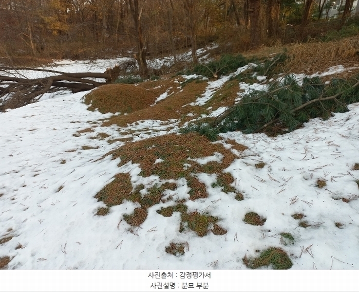 2024타경55755 경기도 안성시 미양면 보체리 산50 임야 경매 이미지