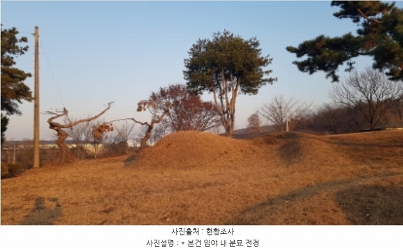 2024타경55755 경기도 안성시 미양면 보체리 산50 임야 경매 이미지