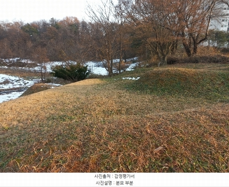 2024타경55755 경기도 안성시 미양면 보체리 산50 임야 경매 이미지