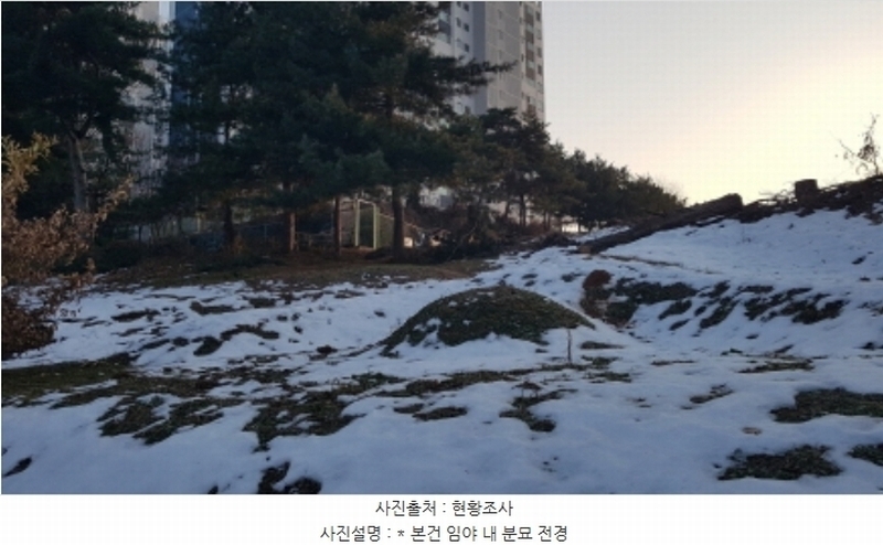 2024타경55755 경기도 안성시 미양면 보체리 산50 임야 경매 이미지