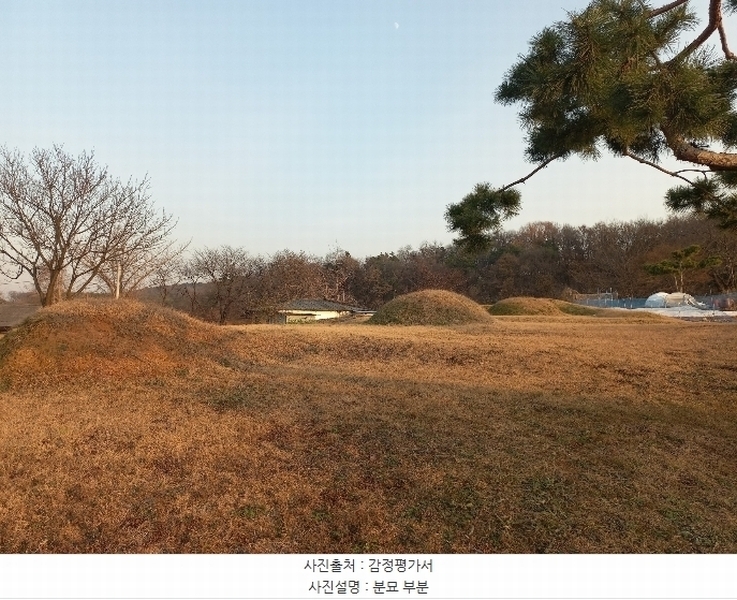 2024타경55755 경기도 안성시 미양면 보체리 산50 임야 경매 이미지
