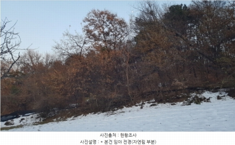 2024타경55755 경기도 안성시 미양면 보체리 산50 임야 경매 이미지