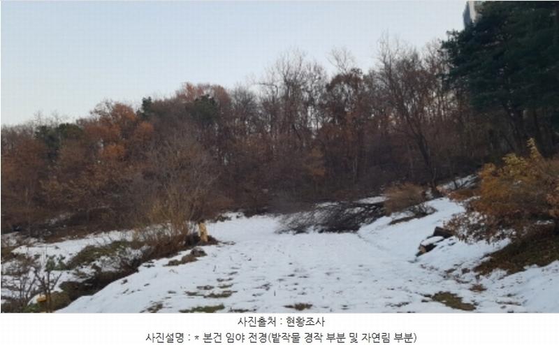 2024타경55755 경기도 안성시 미양면 보체리 산50 임야 경매 이미지