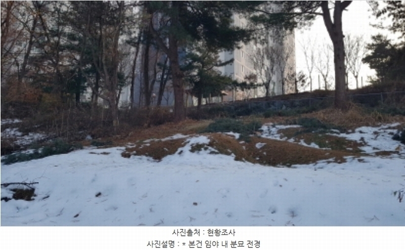 2024타경55755 경기도 안성시 미양면 보체리 산50 임야 경매 이미지