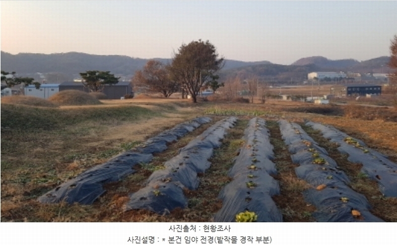 2024타경55755 경기도 안성시 미양면 보체리 산50 임야 경매 이미지