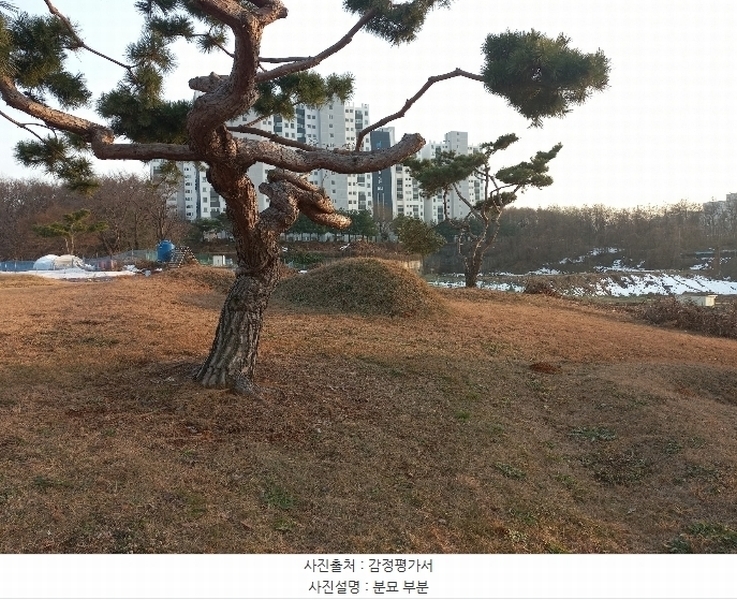 2024타경55755 경기도 안성시 미양면 보체리 산50 임야 경매 이미지