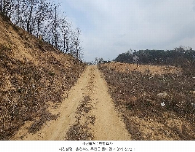 2025타경65 충청북도 옥천군 동이면 지양리 산72-1 임야 경매 이미지