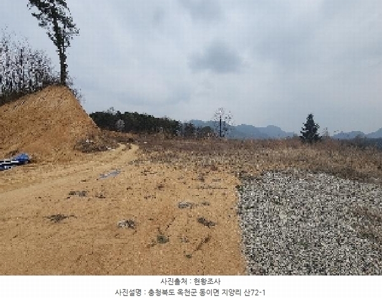 2025타경65 충청북도 옥천군 동이면 지양리 산72-1 임야 경매 이미지