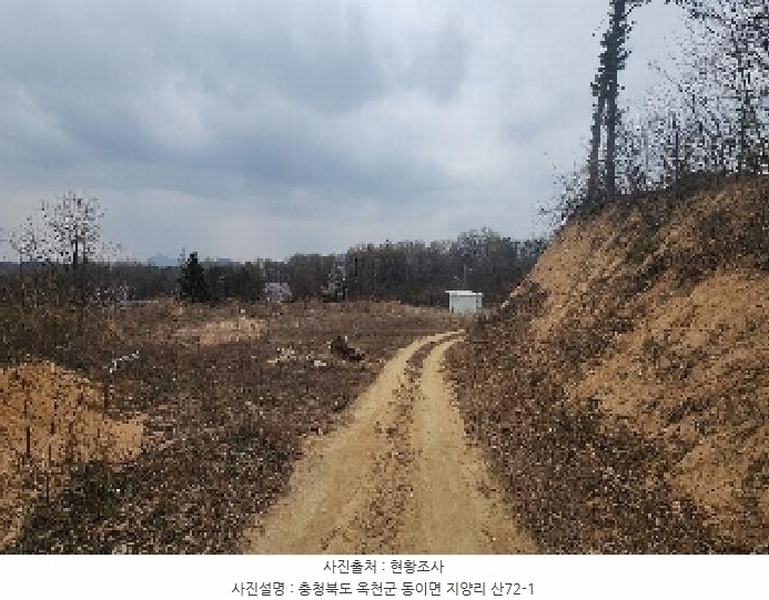 2025타경65 충청북도 옥천군 동이면 지양리 산72-1 임야 경매 이미지