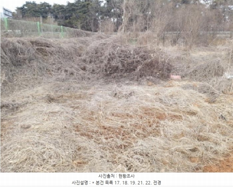 2024타경57188 경기도 평택시 팽성읍 남산리 221-15 농지 경매 이미지