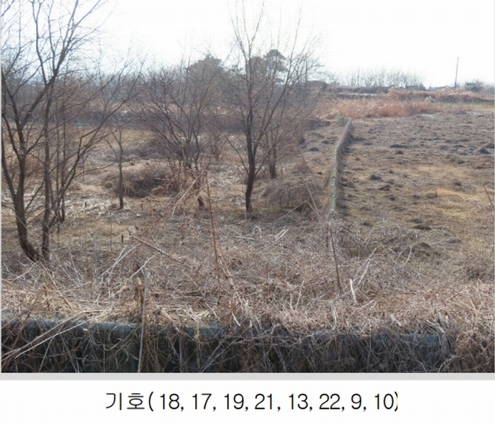 2024타경57188 경기도 평택시 팽성읍 남산리 221-15 농지 경매 이미지