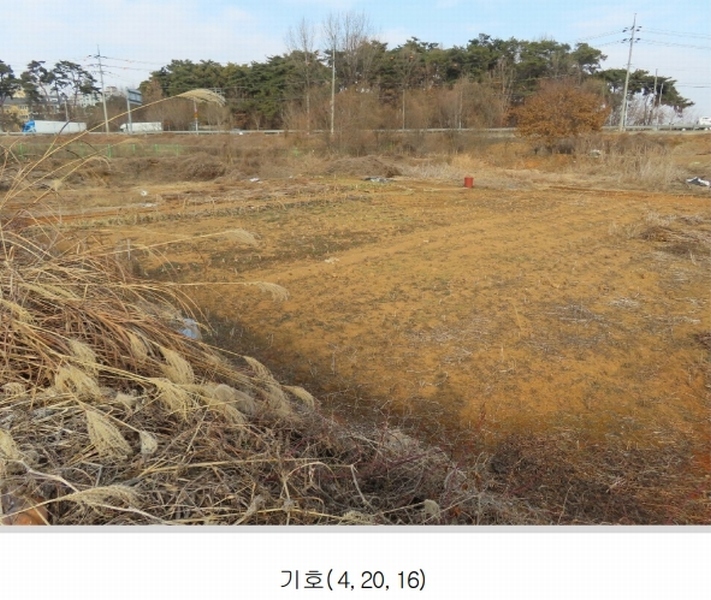 2024타경57188 경기도 평택시 팽성읍 남산리 221-15 농지 경매 이미지