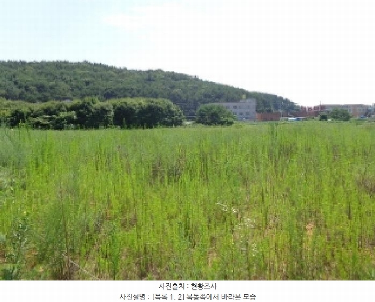 2025타경733 충청남도 태안군 안면읍 창기리 1262-1 농지 경매 이미지