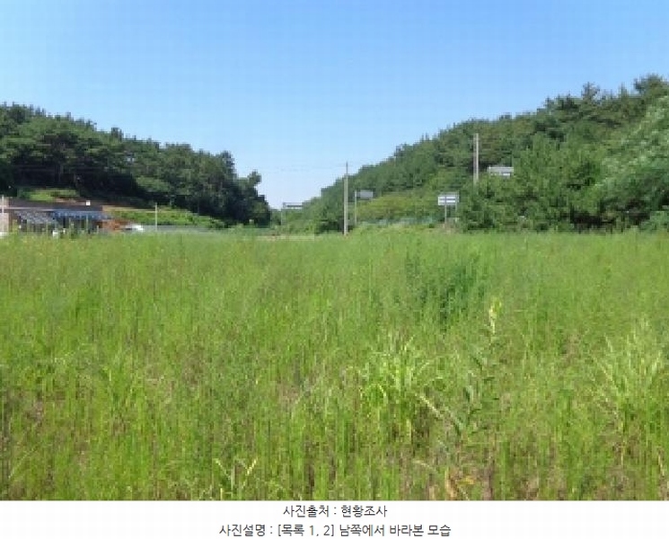2025타경733 충청남도 태안군 안면읍 창기리 1262-1 농지 경매 이미지