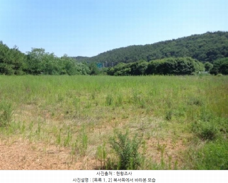 2025타경733 충청남도 태안군 안면읍 창기리 1262-1 농지 경매 이미지