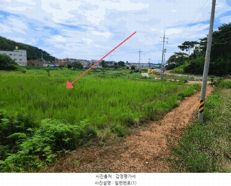2025타경733 충청남도 태안군 안면읍 창기리 1262-1 농지 경매 이미지
