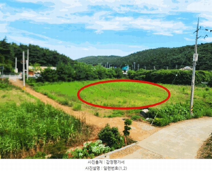 2025타경733 충청남도 태안군 안면읍 창기리 1262-1 농지 경매 이미지
