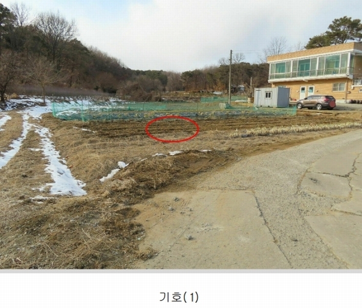2025타경40941 경기도 평택시 가재동 159-5 농지 경매 이미지