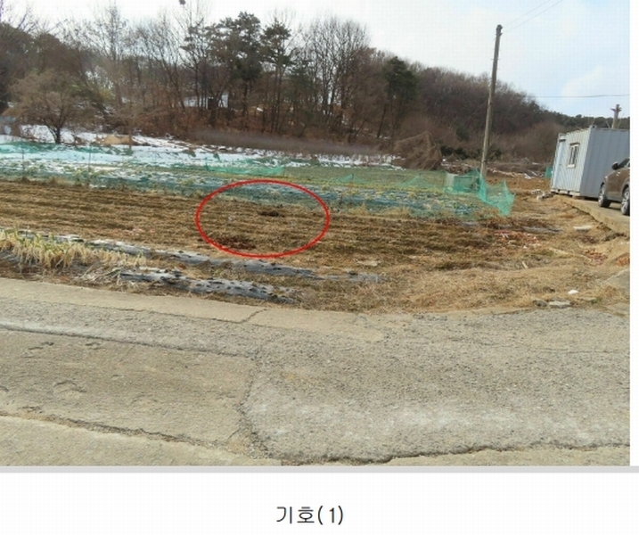 2025타경40941 경기도 평택시 가재동 159-5 농지 경매 이미지
