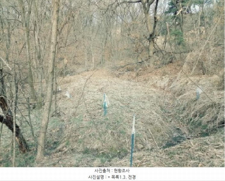 2025타경41557 경기도 안성시 일죽면 능국리 23-1 농지 경매 이미지
