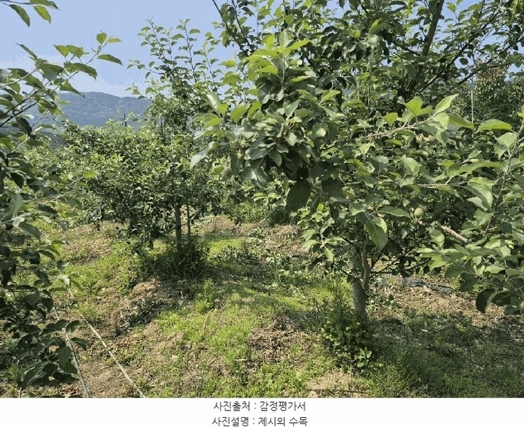 2025타경479 경상남도 김해시 진례면 송정리 830-4 농지 경매 이미지