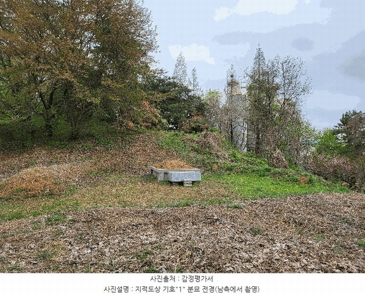 2025타경41690 경기도 안성시 원곡면 내가천리 산58-5 임야 경매 이미지