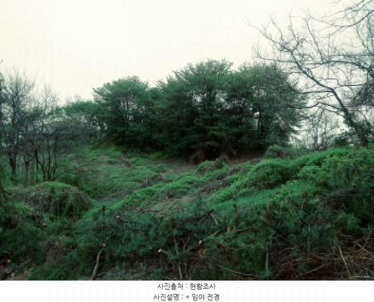 2025타경41690 경기도 안성시 원곡면 내가천리 산58-5 임야 경매 이미지