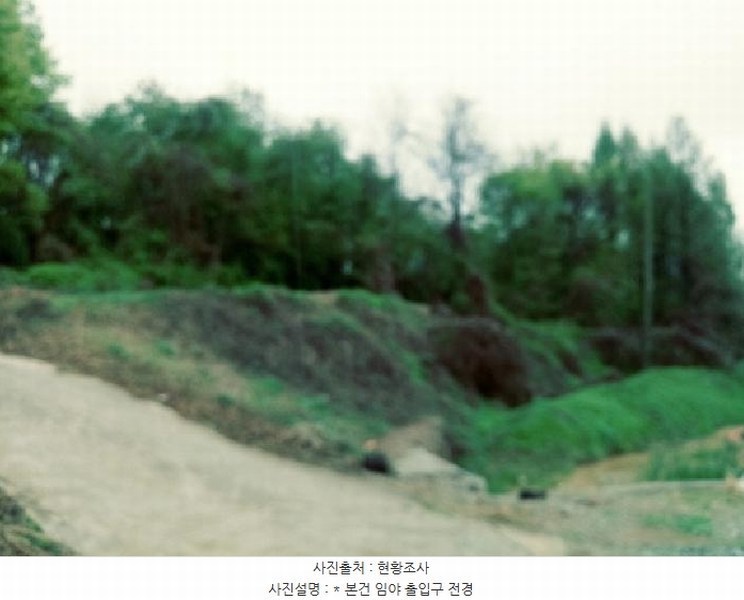 2025타경41690 경기도 안성시 원곡면 내가천리 산58-5 임야 경매 이미지