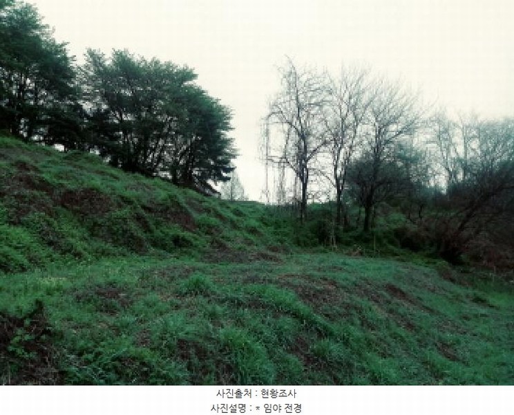 2025타경41690 경기도 안성시 원곡면 내가천리 산58-5 임야 경매 이미지