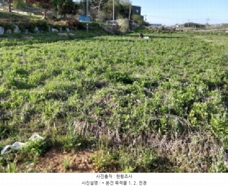 2025타경41789 경기도 평택시 고덕면 당현리 487-2 농지 경매 이미지