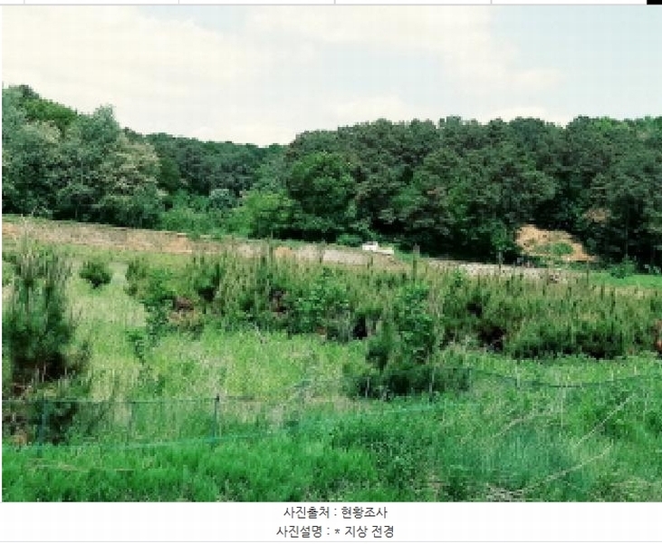 2025타경41824 경기도 안성시 원곡면 산하리 79-2 농지 경매 이미지