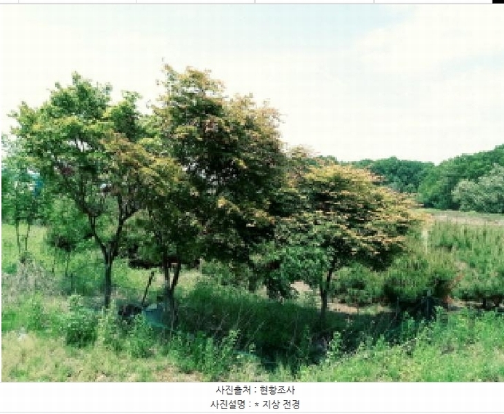 2025타경41824 경기도 안성시 원곡면 산하리 79-2 농지 경매 이미지