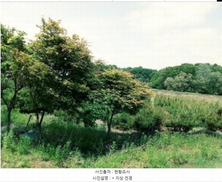 2025타경41824 경기도 안성시 원곡면 산하리 79-2 농지 경매 이미지