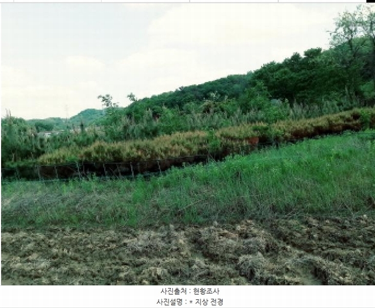 2025타경41824 경기도 안성시 원곡면 산하리 79-2 농지 경매 이미지